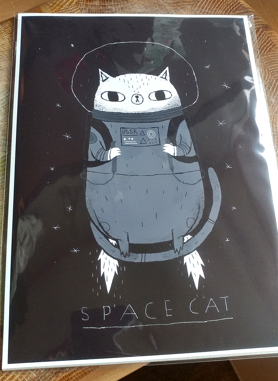 Space cat