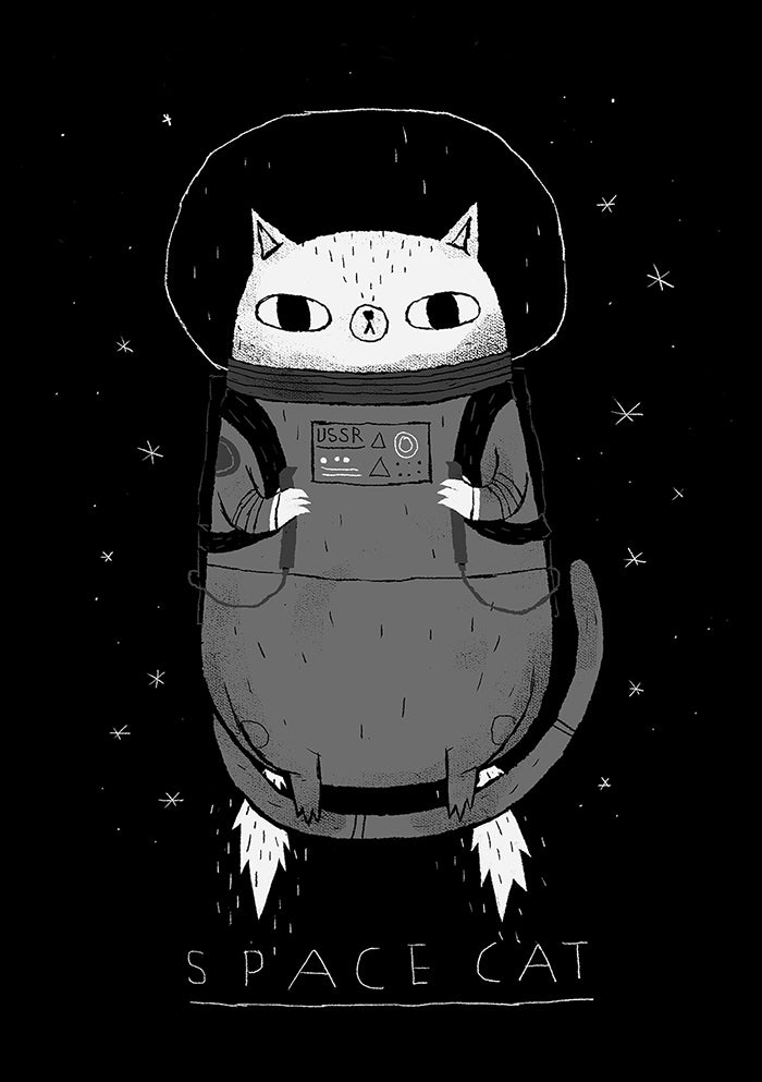 Space cat