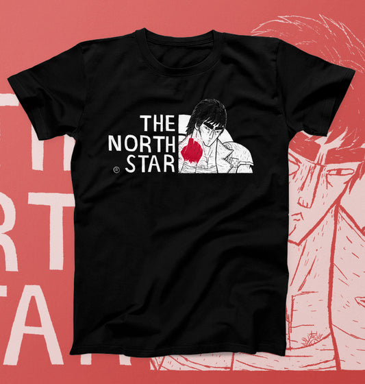 The north star