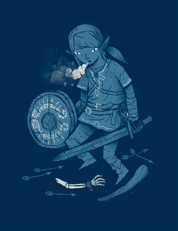 Breath of the link
