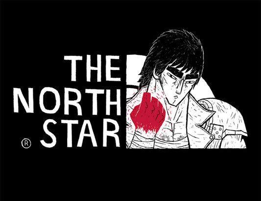 The north star