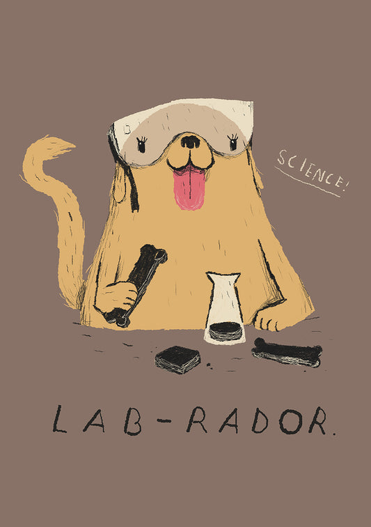 Lab-rador
